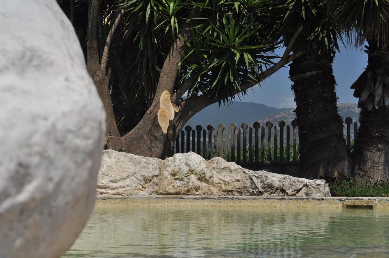 B&B Levante Paestum Mattine エクステリア 写真